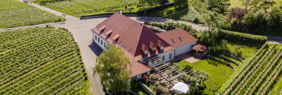 Aerial view of a building with a red roof, surrounded by vineyards and green countryside. A garden with pergola and parasol is visible., © Collegium Wirtemberg Aerial view of a building with a red roof, surrounded by vineyards and green countryside. A garden with pergola and parasol is visible., © Collegium Wirtemberg