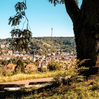 Blick von der Karlshöhe auf Stuttgart, mit einem großen Baum im Vordergrund und dem Fernsehturm in der Ferne. Menschen entspannen auf der Wiese., © Stuttgart Marketing GmbH, Sarah Schmid Blick von der Karlshöhe auf Stuttgart, mit einem großen Baum im Vordergrund und dem Fernsehturm in der Ferne. Menschen entspannen auf der Wiese., © Stuttgart Marketing GmbH, Sarah Schmid