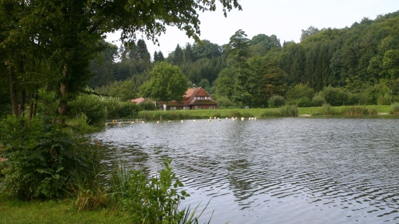 An idyllic lake with a half-timbered house in the background, surrounded by lush vegetation and trees., © Touristikgemeinschaft Hohenlohe e. V. | Susanne Schleussner An idyllic lake with a half-timbered house in the background, surrounded by lush vegetation and trees., © Touristikgemeinschaft Hohenlohe e. V. | Susanne Schleussner