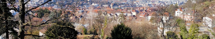 Blick auf den Talkessel von Stuttgart mit kahlen Bäumen im Vordergrund und klarem, blauem Himmel., © SMG Blick auf den Talkessel von Stuttgart mit kahlen Bäumen im Vordergrund und klarem, blauem Himmel., © SMG