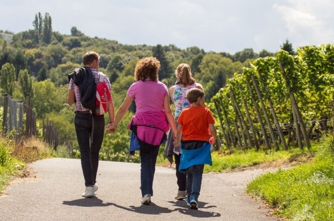 Eine Familie spaziert auf einem Weg durch Weinberge. Die Sonne scheint, und die Landschaft ist grün und hügelig., © Cool-Tours StattReisen