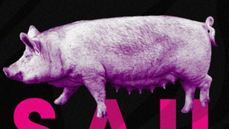 S.A.U., &copy; Trabanten Kollektiv