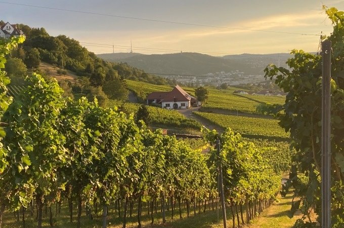 Weinberge im Sonnenuntergang mit einem Haus im Hintergrund, umgeben von grünen Hügeln und einem weiten Tal., © Weingenuss Stuttgart
