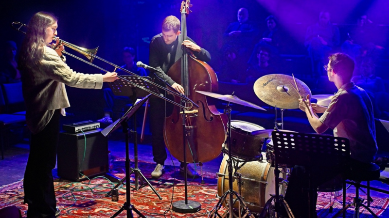 Carlotta Armbruster Trio, &copy; Tomas Sch&auml;kel