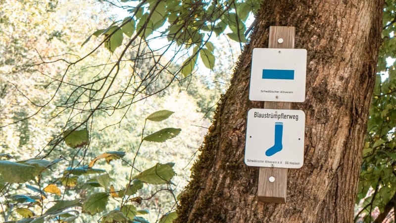 Ein Wegweiser am Baum zeigt den Blaustr&uuml;mpflerweg an. Der Hintergrund ist ein dichter, gr&uuml;ner Wald., &copy; Stuttgart Marketing GmbH, Sarah Schmid