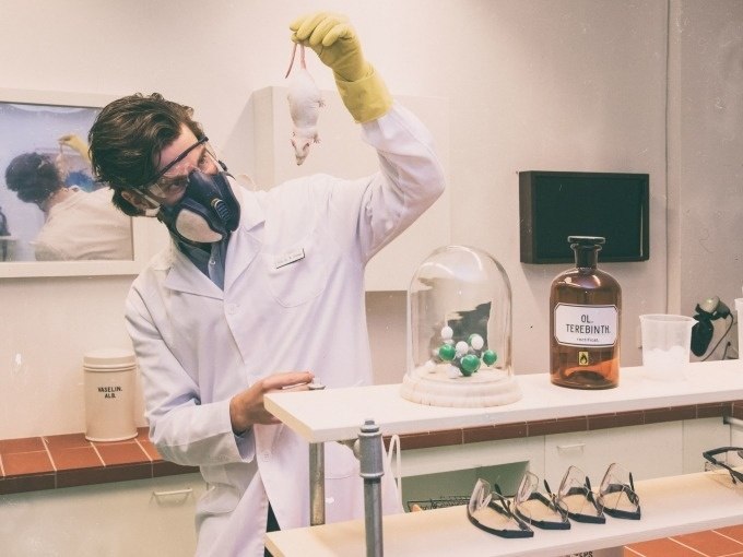 A scientist in protective clothing holds a mouse in a laboratory. There are chemicals and protective goggles on the table., © ExitGames Stuttgart A scientist in protective clothing holds a mouse in a laboratory. There are chemicals and protective goggles on the table., © ExitGames Stuttgart