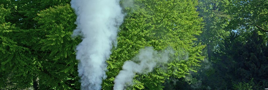 The Killesbergbahn runs through a blooming park with yellow and blue flowers, surrounded by green trees. A steam locomotive pulls yellow wagons., © Andreas Pucka