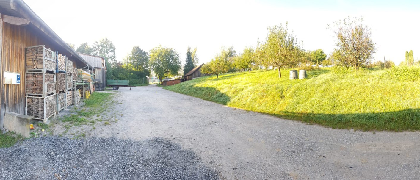 Ländliche Szene mit Holzstapeln an einem Gebäude, einem Anhänger und Obstbäumen auf einer Wiese bei sonnigem Wetter., © Mannschreck-Weine