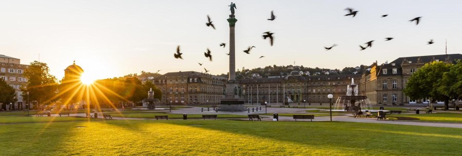 Sonnenaufgang über dem Schlossplatz in Stuttgart, mit der Jubiläumssäule und dem Neuen Schloss im Hintergrund. Vögel fliegen am Himmel., © © Stuttgart-Marketing GmbH, Werner Dieterich