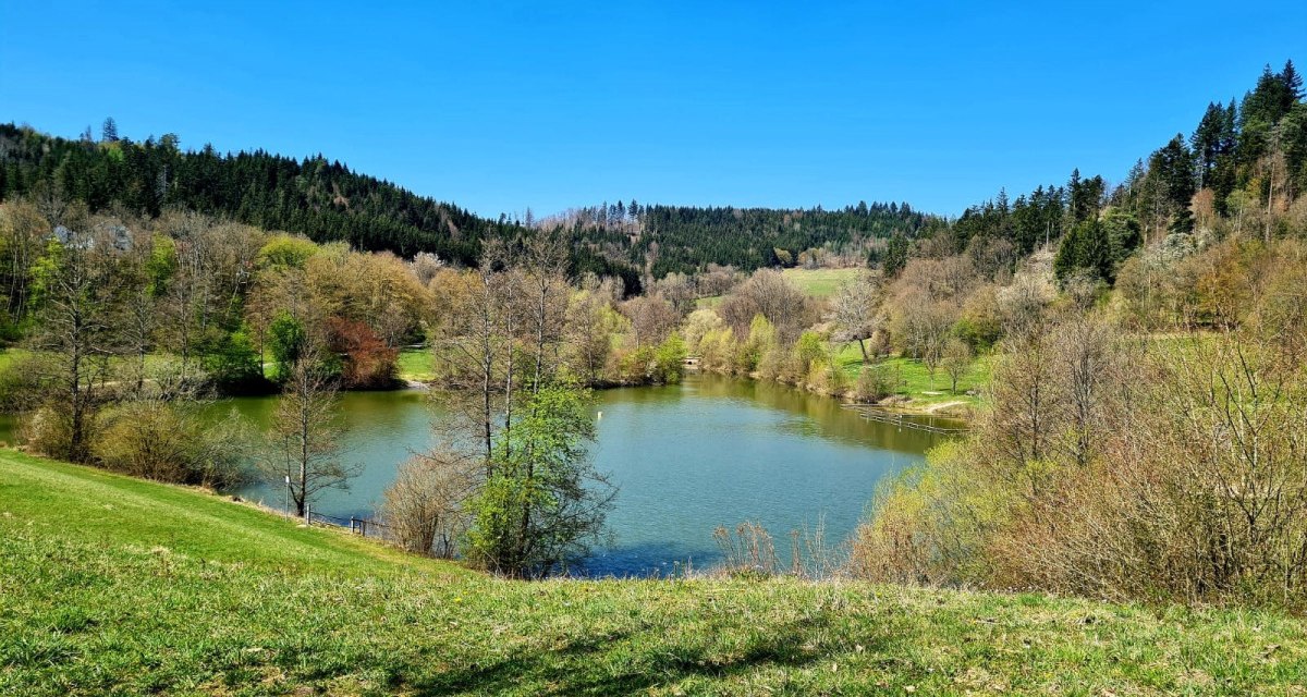 Inklusive Wanderbotschafter:innen - Diebachsee - Barrierefreie Wanderung mit Start in Fichtenberg