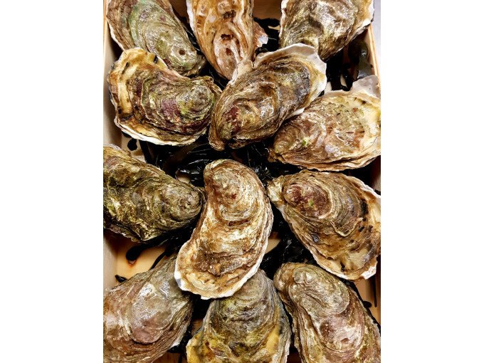 Fresh oysters presented in a box on seaweed, ready for the cooking course in Stuttgart-Hedelfingen., &copy; Kultweine-Kochwelten-Kunst&uuml;cke - Kochschule Sonja Lenz