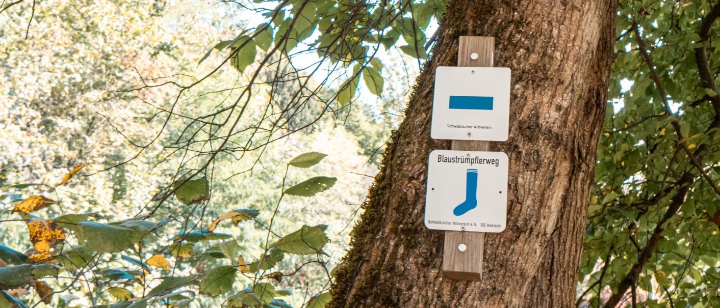 Ein Wegweiser am Baum zeigt den Blaustrümpflerweg an. Der Hintergrund ist ein dichter, grüner Wald., © Stuttgart Marketing GmbH, Sarah Schmid