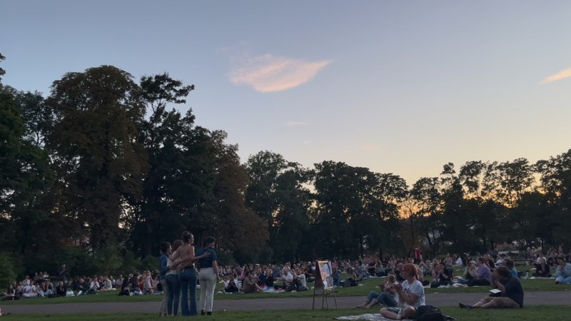 Picknickkonzert 2025, © Planungsstab Villa Berg Picknickkonzert 2025, © Planungsstab Villa Berg