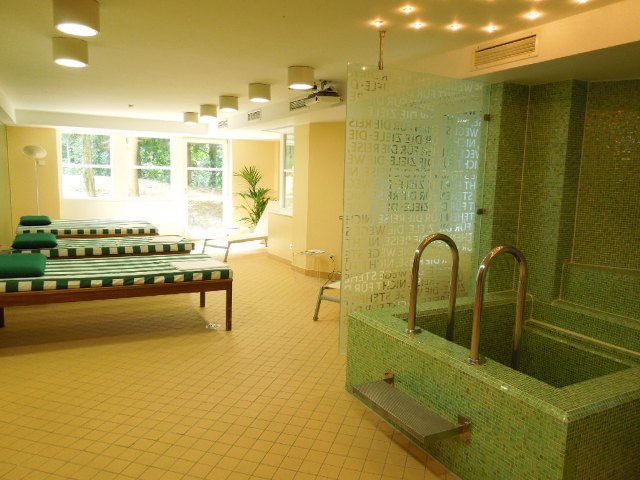 Wellness area with loungers, small pool and large windows. Relaxing atmosphere with green tiles and natural light., &copy; relexa Waldhotel Schatten