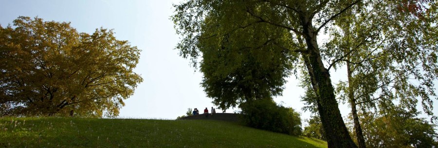 Green meadow in Weissenburgpark Stuttgart, surrounded by trees. People are sitting on a hill in the background., &copy; Stuttgart-Marketing GmbH Christoph D&uuml;pper
