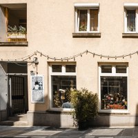 Fassade eines Antiquariats mit zwei großen Schaufenstern, dekoriert mit Antiquitäten. Eine Lichterkette hängt darüber, Pflanzen schmücken die Fenster., © SMG Stuttgart Marketing GmbH - Sarah Schmid Fassade eines Antiquariats mit zwei großen Schaufenstern, dekoriert mit Antiquitäten. Eine Lichterkette hängt darüber, Pflanzen schmücken die Fenster., © SMG Stuttgart Marketing GmbH - Sarah Schmid