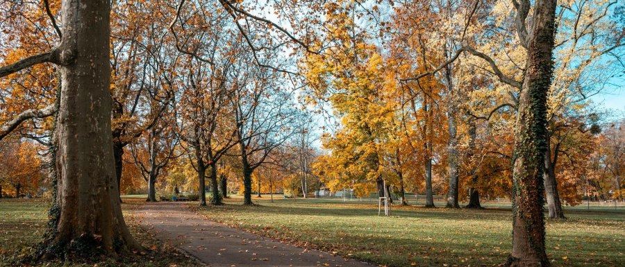 Villa Berg Park, © SMG, Sarah Schmid