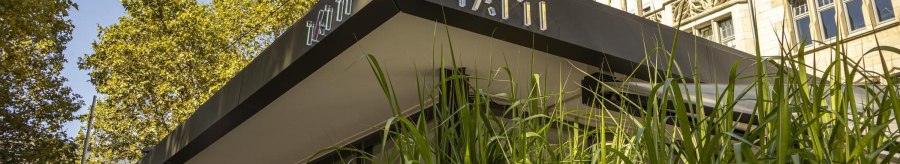 Modernes Geb&auml;ude mit dem Schriftzug 'Tatti' auf dem Dach. Im Vordergrund sind hohe gr&uuml;ne Pflanzen zu sehen. Im Hintergrund ein historisches Geb&auml;ude., &copy; SMG, Sarah Schmid