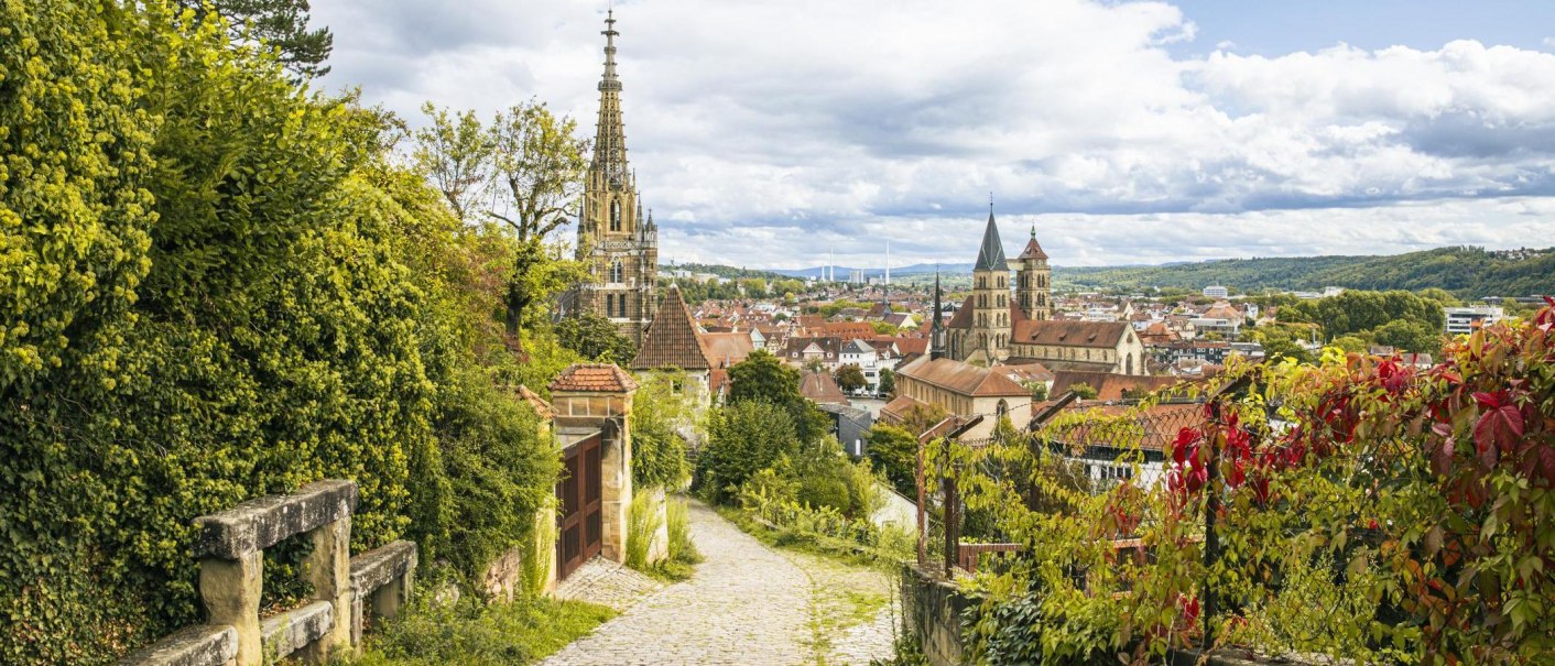 A panoramic view of Esslingen, with vineyards in the foreground and historic buildings in the background, under a cloudy sky., © SMG Stuttgart Marketing GmbH - Sarah Schmid A panoramic view of Esslingen, with vineyards in the foreground and historic buildings in the background, under a cloudy sky., © SMG Stuttgart Marketing GmbH - Sarah Schmid