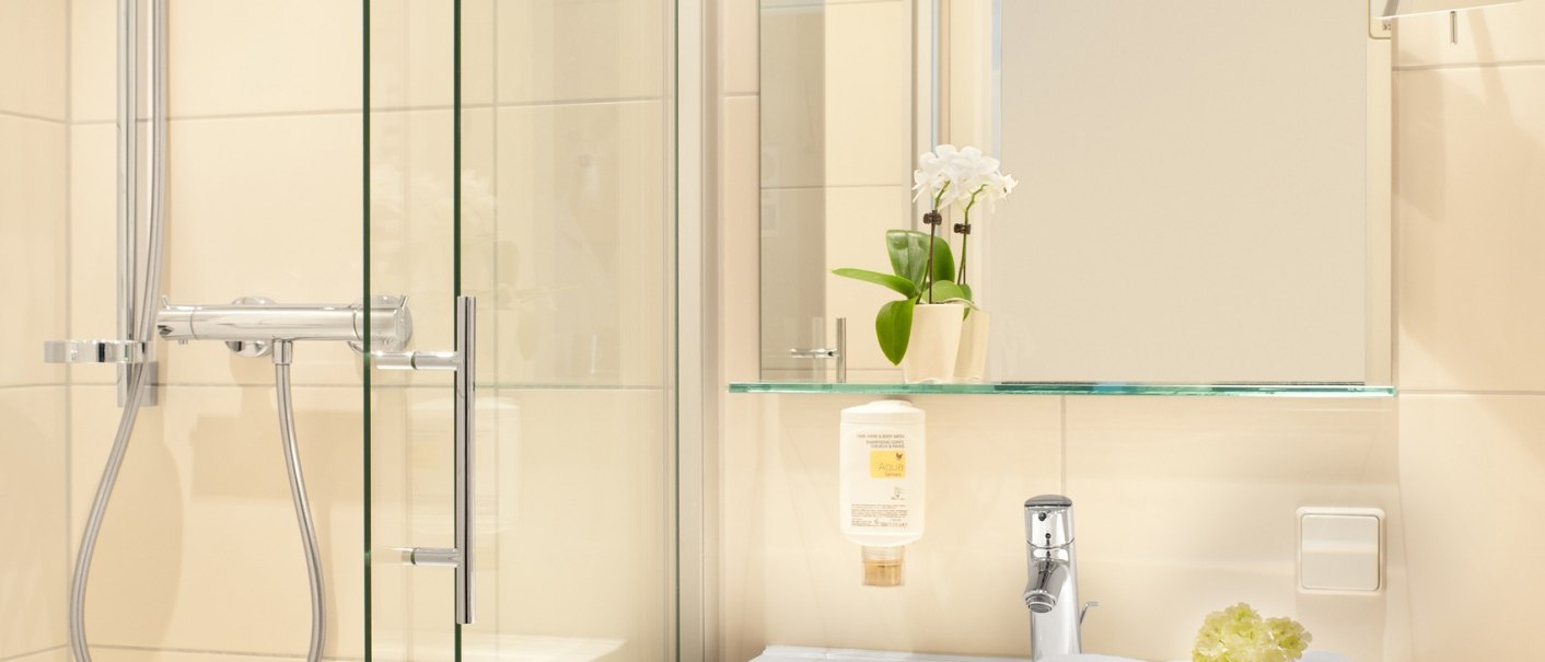 Modern bathroom with a glass shower, sink, towels, and a hair dryer. An orchid sits on the shelf above the sink., &copy; TOMAS