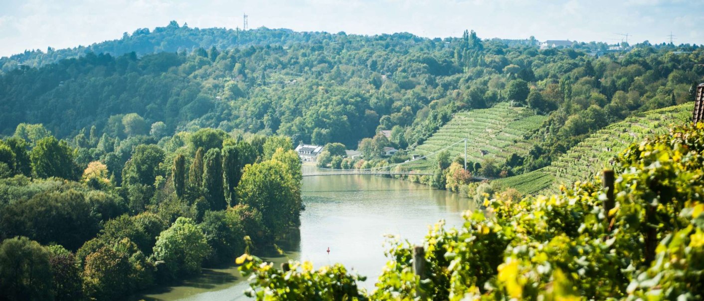 Blick auf eine Flusslandschaft mit einer Schleife, umgeben von grünen Weinbergen und dichtem Wald., © Weingut Zaißerei