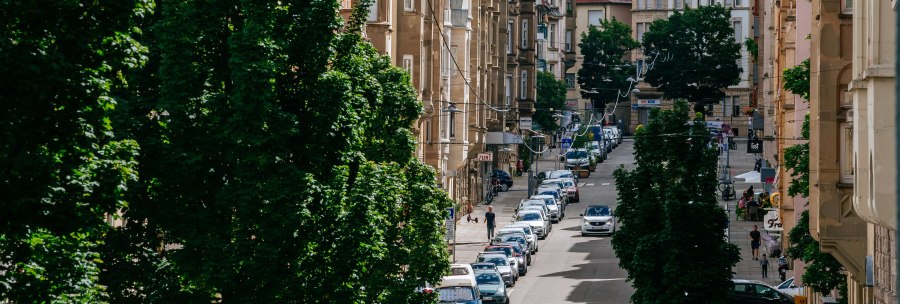 &copy; Thomas Niederm&uuml;ller