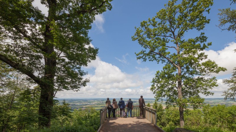 Menschen stehen auf einer Aussichtsplattform im Wald und blicken auf eine weite Landschaft unter einem blauen Himmel mit Wolken., © NPSFW Menschen stehen auf einer Aussichtsplattform im Wald und blicken auf eine weite Landschaft unter einem blauen Himmel mit Wolken., © NPSFW