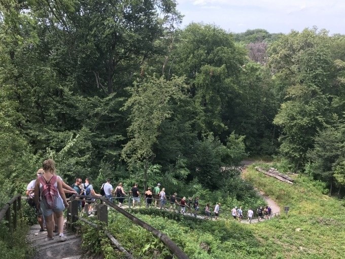Eine Gruppe von Menschen wandert auf einem schmalen Pfad durch einen grünen Wald in Stuttgart-Feuerbach., © Weingenuss Stuttgart Eine Gruppe von Menschen wandert auf einem schmalen Pfad durch einen grünen Wald in Stuttgart-Feuerbach., © Weingenuss Stuttgart