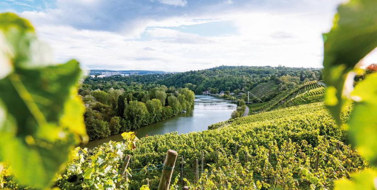 Das Bild zeigt das Neckartal mit einem Fluss, umgeben von grünen Weinbergen und bewaldeten Hügeln unter einem bewölkten Himmel., © TMBW, Christiane Würtenberger/CMR