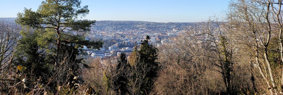 Blick von einem bewaldeten Hügel auf eine Stadt im Tal, umgeben von kahlen Bäumen und einem klaren blauen Himmel., © SMG Blick von einem bewaldeten Hügel auf eine Stadt im Tal, umgeben von kahlen Bäumen und einem klaren blauen Himmel., © SMG