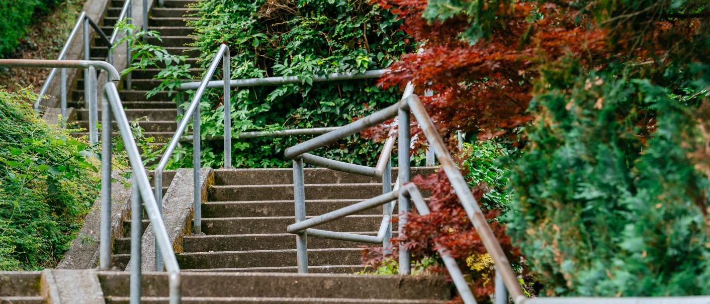 A long concrete staircase with metal railings, surrounded by lush greenery and red leaves., © Thomas Niedermüller A long concrete staircase with metal railings, surrounded by lush greenery and red leaves., © Thomas Niedermüller