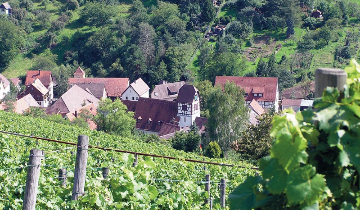 Dorf mit Fachwerkhäusern inmitten von Weinbergen und grünen Hügeln, aufgenommen vom Weinwanderweg Rohracker., © Stuttgart-Marketing GmbH