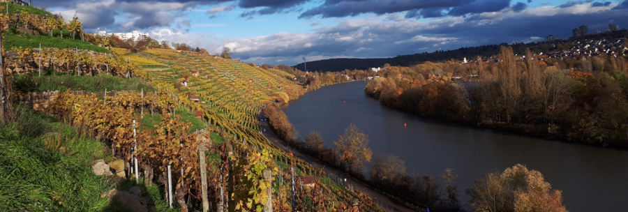 Autumnal vineyards stretch along a river. The leaves are brightly colored, the sky is partly cloudy and partly blue., &copy; Weinfrequenz