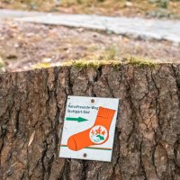 Schild mit roter Socke auf Baumstumpf im Wald, markiert den NaturFreunde-Weg Stuttgart-S&uuml;d., &copy; Stuttgart Marketing GmbH, Sarah Schmid