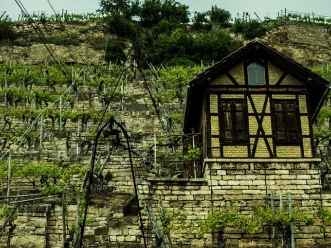 Ein steiler Weinberg mit einem kleinen Fachwerkhaus, umgeben von Reben und Steinmauern, unter einem bewölkten Himmel., © Cool-Tours StattReisen Ein steiler Weinberg mit einem kleinen Fachwerkhaus, umgeben von Reben und Steinmauern, unter einem bewölkten Himmel., © Cool-Tours StattReisen
