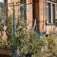 Wagenhallen_2024_023c_SMG_Sarah_Schmid, © Stuttgart-Marketing GmbH, Sarah Schmid Wagenhallen_2024_023c_SMG_Sarah_Schmid, © Stuttgart-Marketing GmbH, Sarah Schmid