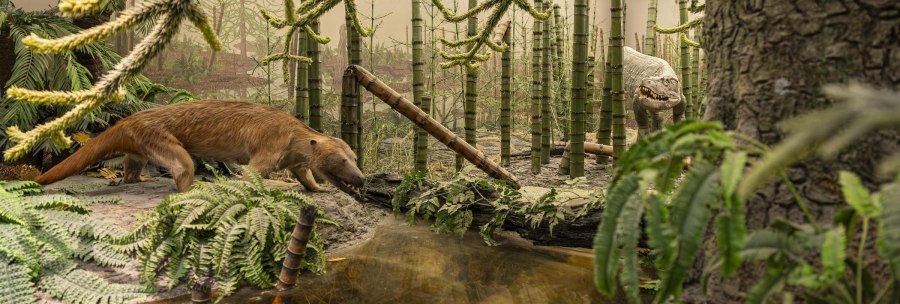 A diorama in the Museum am Löwentor shows prehistoric animals and plants in a forest landscape with a watercourse., © Stuttgart-Marketing GmbH, Sarah Schmid
