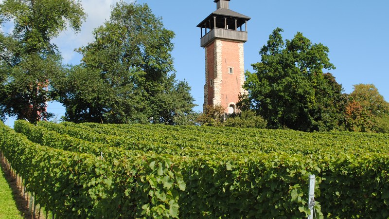 Peter Mayer Winery, &copy; Weingut Peter Mayer