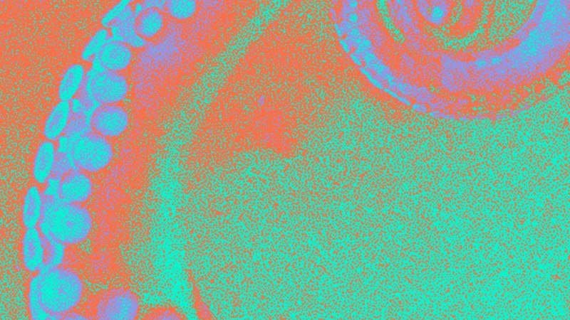 Illustration Literaturfestival, © Literaturfestival