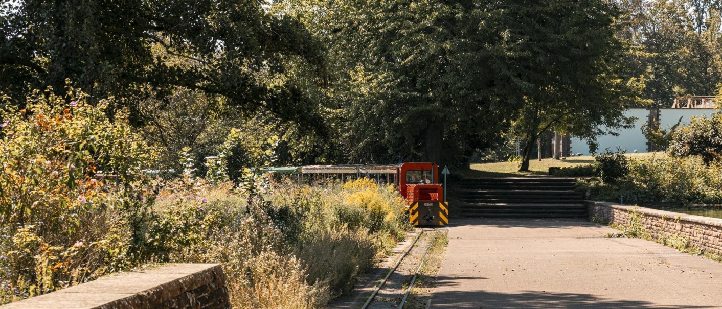 Rote Lokomotive der Killesbergbahn fährt durch einen grünen Park mit üppiger Vegetation und Bäumen., © Stuttgart Marketing GmbH, Sarah Schmid Rote Lokomotive der Killesbergbahn fährt durch einen grünen Park mit üppiger Vegetation und Bäumen., © Stuttgart Marketing GmbH, Sarah Schmid