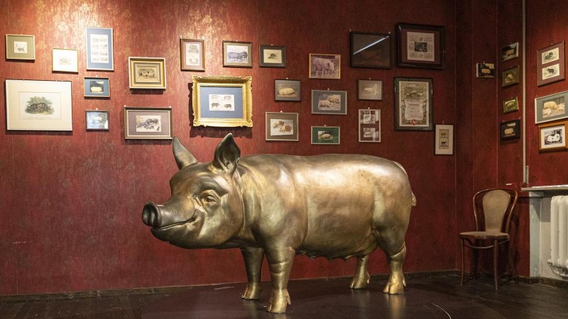 Ein Raum im Schweinemuseum Stuttgart mit einer gro&szlig;en Schweineskulptur und zahlreichen gerahmten Bildern an einer roten Wand., &copy; Stuttgart-Marketing GmbH, Sarah Schmid