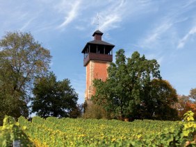 Der Burgholzhof Aussichtsturm erhebt sich über Weinreben, umgeben von Bäumen, unter einem klaren blauen Himmel., © Stuttgart-Marketing GmbH, Achim Mende