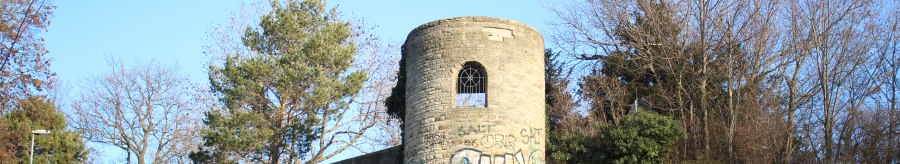 Eine alte, runde Ruine mit Graffiti steht auf einem grasbewachsenen H&uuml;gel, umgeben von kahlen B&auml;umen und blauem Himmel., &copy; SMG