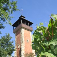 Burgholzhofturm, © Stuttgart-Marketing GmbH