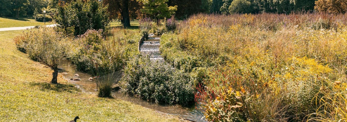 Unterer Schlossgarten Nesenbach, © SMG, Sarah Schmid Unterer Schlossgarten Nesenbach, © SMG, Sarah Schmid