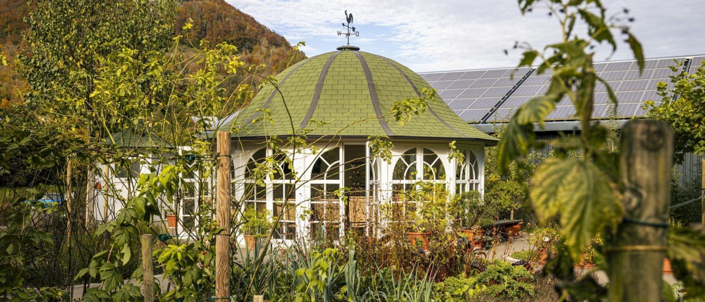 A pavilion with a green roof and a weather vane in a lush herb garden, surrounded by plants and trees. Solar panels can be seen in the background., © SMG Stuttgart Marketing GmbH - Sarah Schmid A pavilion with a green roof and a weather vane in a lush herb garden, surrounded by plants and trees. Solar panels can be seen in the background., © SMG Stuttgart Marketing GmbH - Sarah Schmid