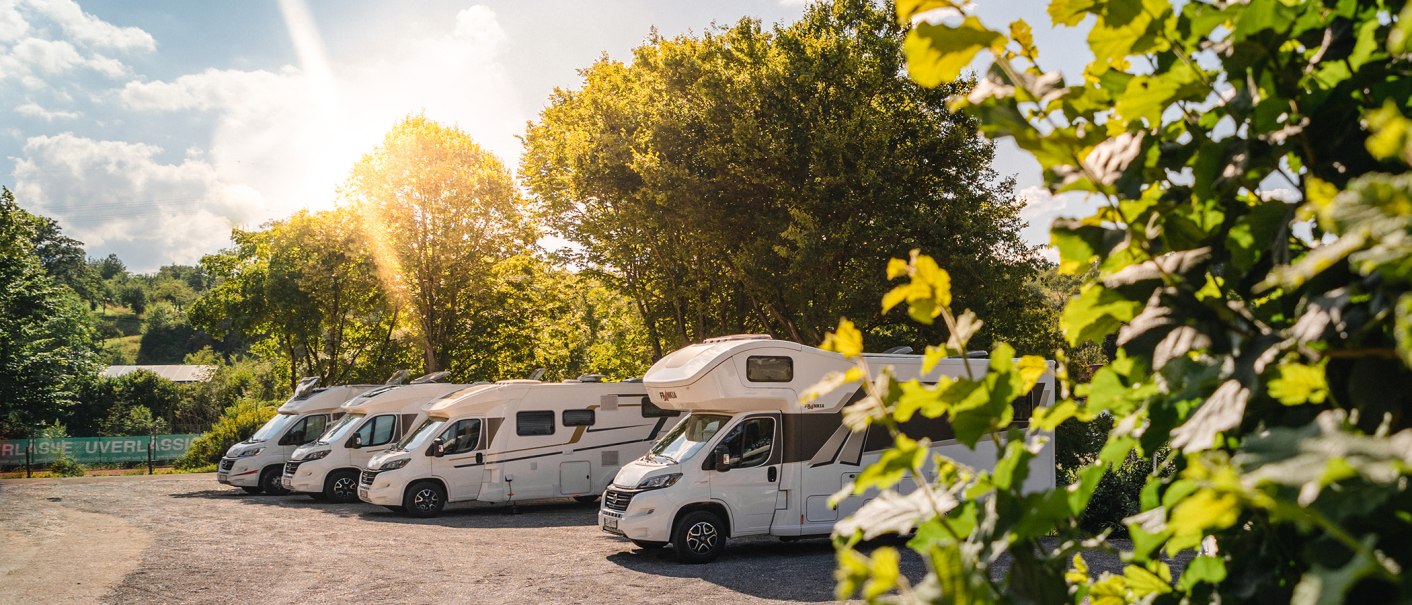 Fünf Wohnmobile parken nebeneinander auf einem sonnigen Stellplatz, umgeben von grünen Bäumen und Pflanzen., © Blu Dolci Artwork Fünf Wohnmobile parken nebeneinander auf einem sonnigen Stellplatz, umgeben von grünen Bäumen und Pflanzen., © Blu Dolci Artwork