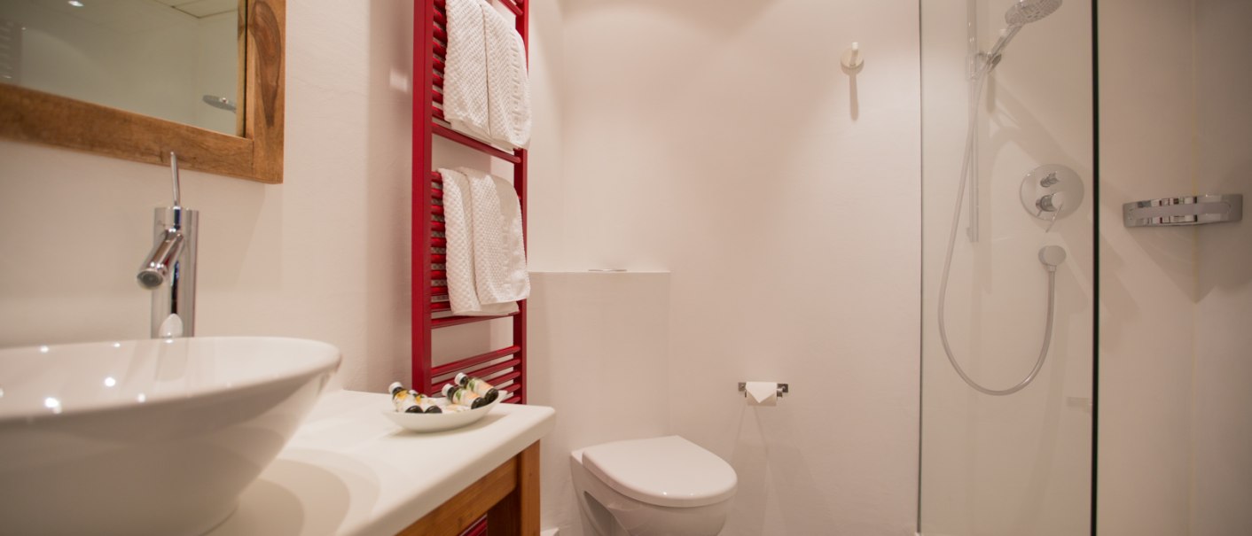 Modern bathroom with a sink, mirror, red towel rack, toilet, and shower., &copy; Hotel B&uuml;rkle