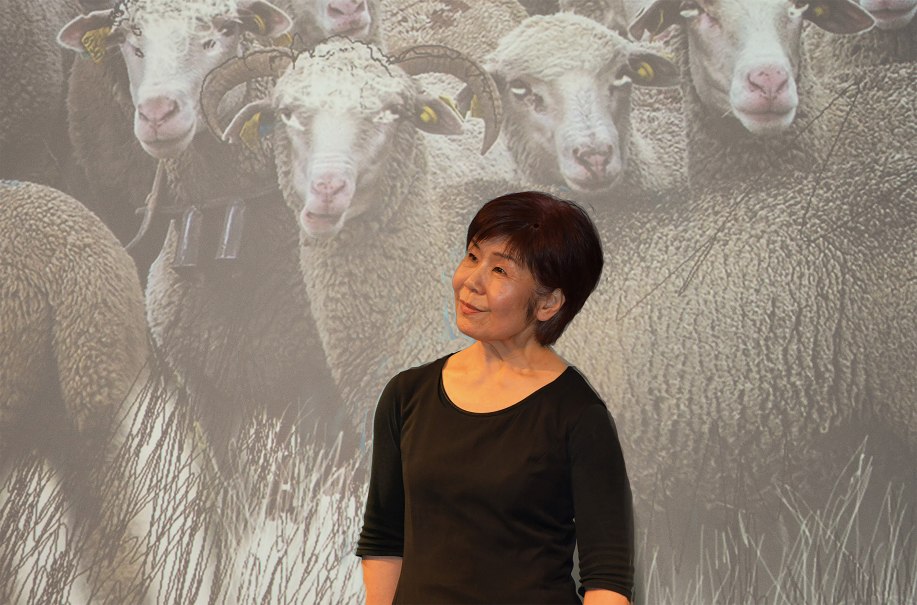 © Peter Lauck © Peter Lauck