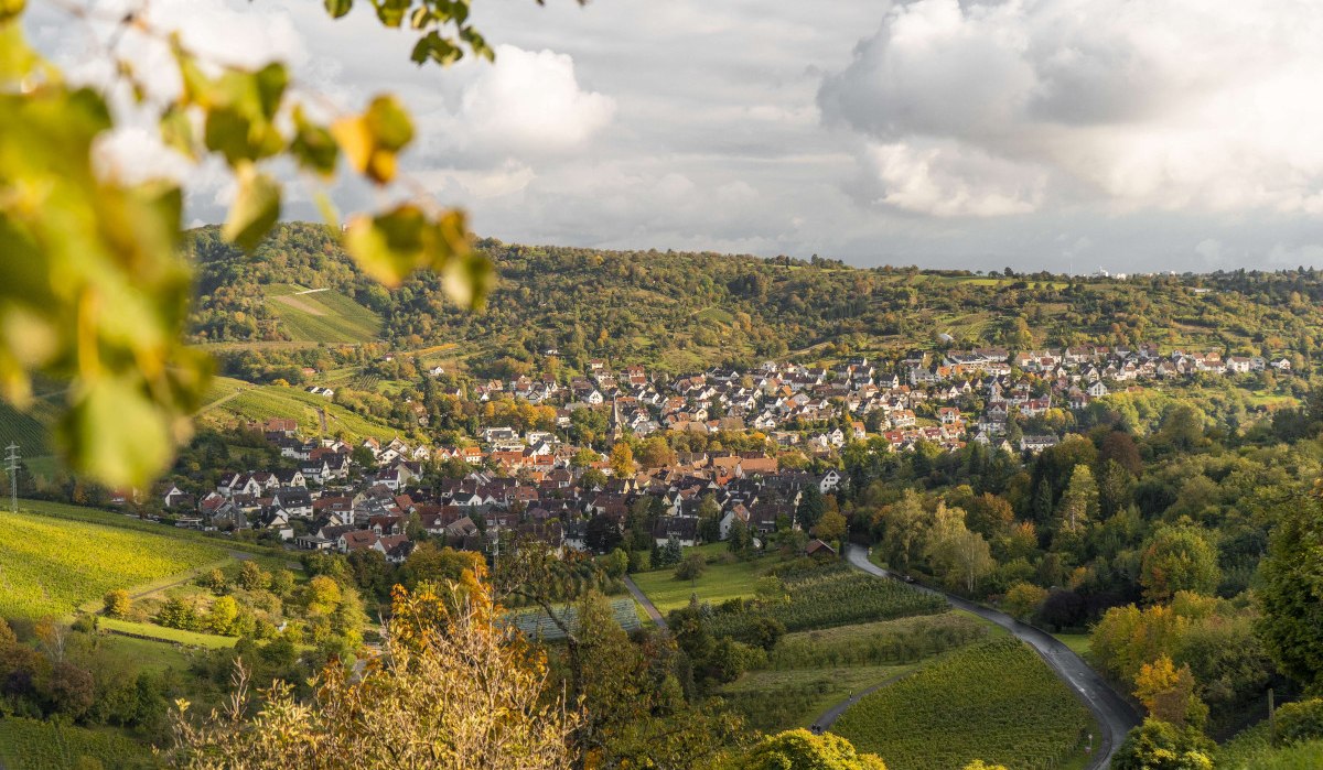 Blick auf Rotenberg mit Weinbergen, Häusern und grünen Hügeln unter bewölktem Himmel., © Stuttgart-Marketing GmbH, Kommwirmachendaseinfach.de/Nicole Hagemann Blick auf Rotenberg mit Weinbergen, Häusern und grünen Hügeln unter bewölktem Himmel., © Stuttgart-Marketing GmbH, Kommwirmachendaseinfach.de/Nicole Hagemann